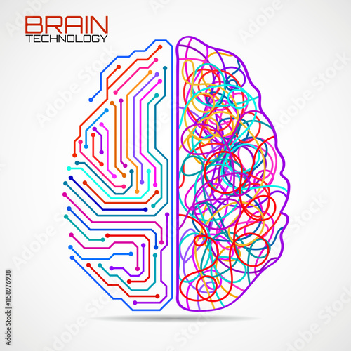 Left right human brain concept. Logic part and creative part, analytical vs creativity