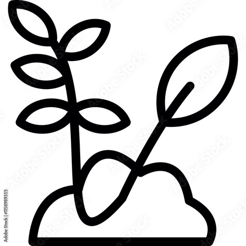 Seedlings