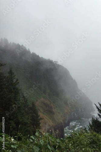 fog in the mountains