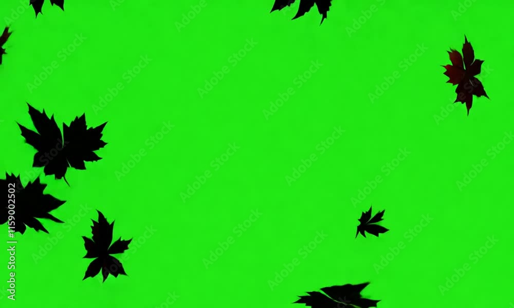 A surreal scene of black leaves in motion on green screen
A surreal scene of black leaves in motion on green screen