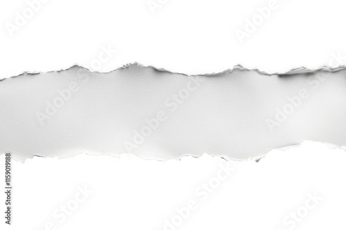 Sheet of smooth white paper, white horizontal stripe with torn edges on both sides, top and bottom, on white background, png, no background, on transparent background, isolated, mockup
