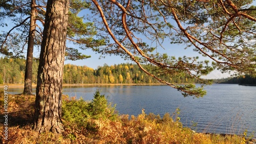 Dalsland-29