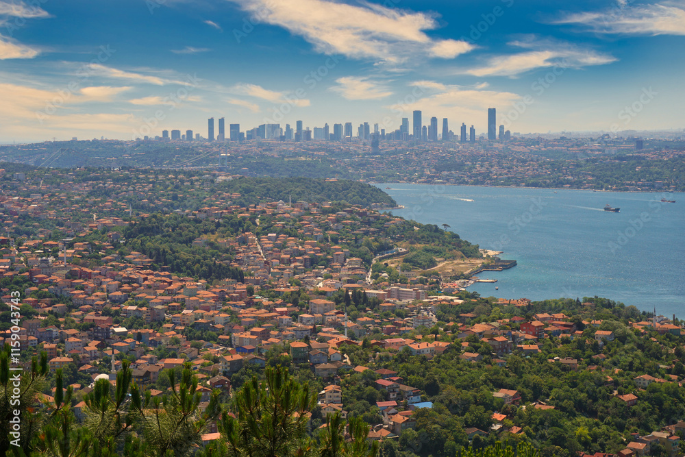 Fototapeta premium Bosphorus from the top, Beykoz Ridge