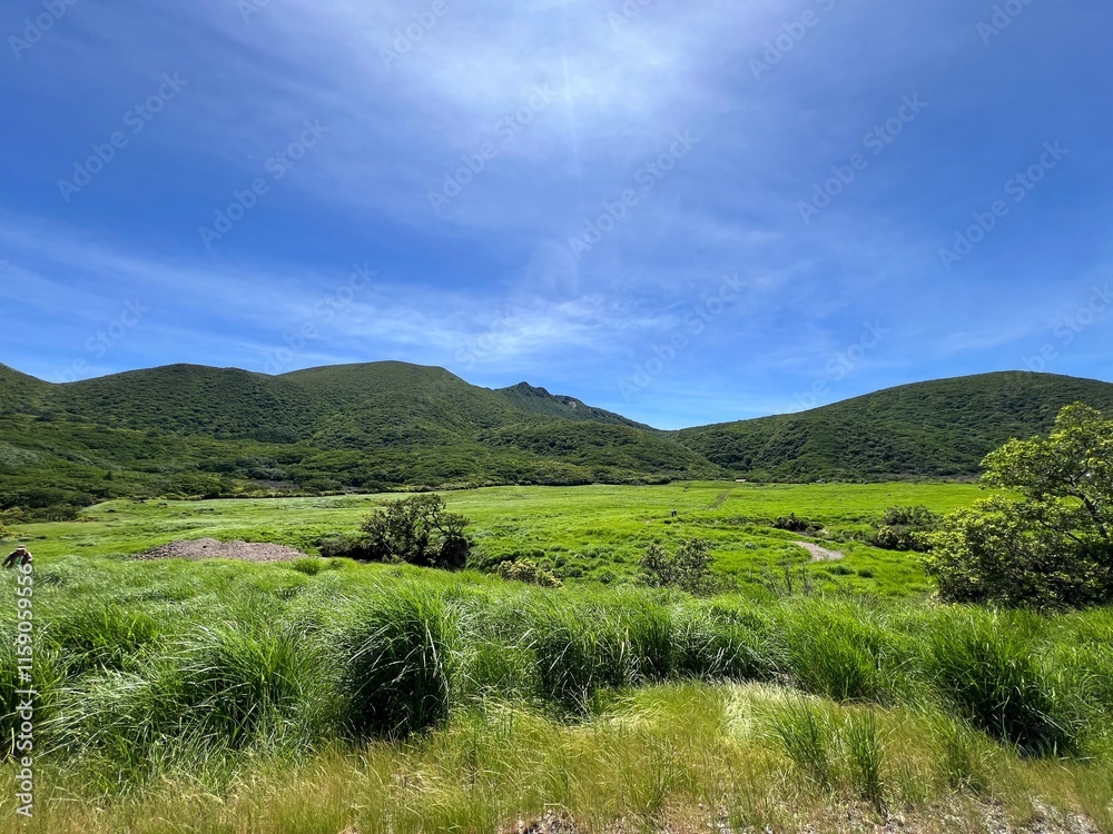 Obraz premium 坊ガツル