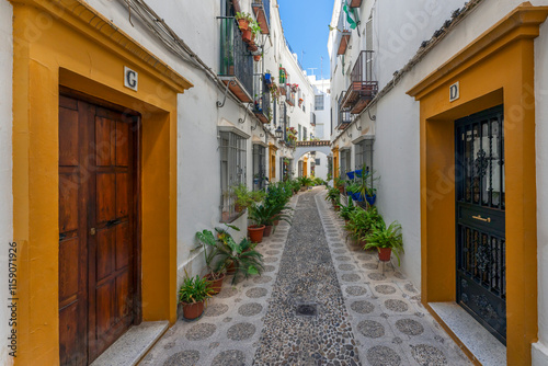 Fototapeta Naklejka Na Ścianę i Meble -  little street in Cordoba,