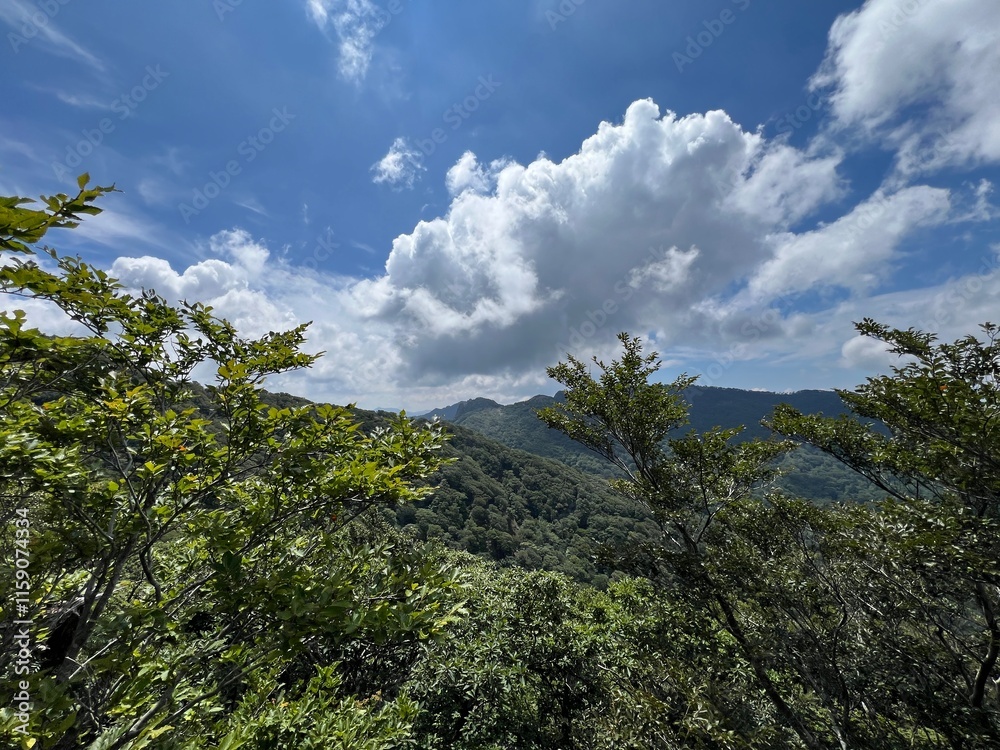 Obraz premium 祖母山登山道