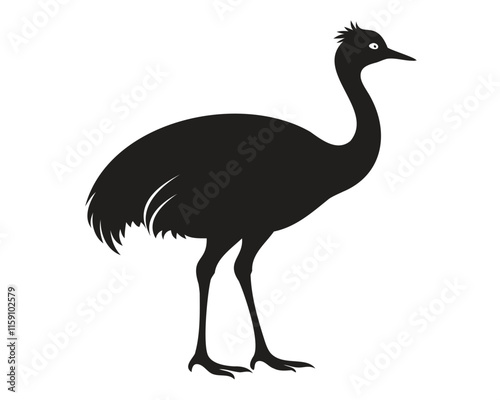 silhouette of Emu bird black vector illustration isolated on transparent background