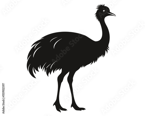 silhouette of Emu bird black vector illustration isolated on transparent background