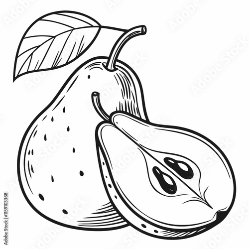 illustration of pear
