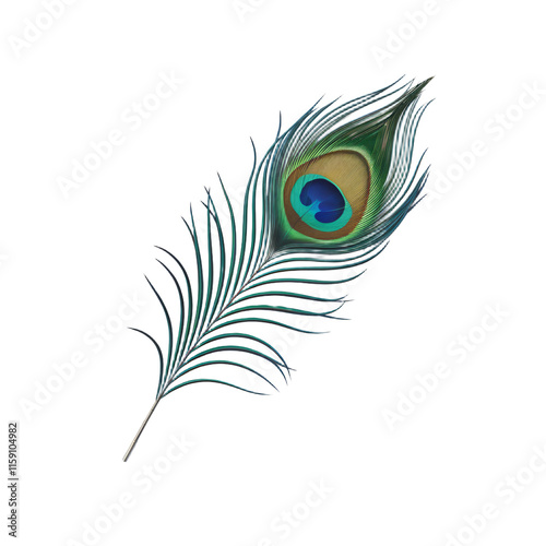 A 3D render of a minimalist cartoon style peacock feather, isolated on a transparent background. The feather has a blue base with green and yellow patterns. 