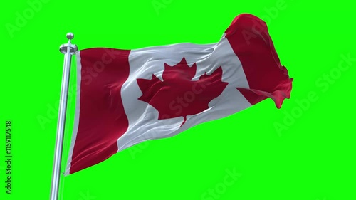 National Flag of Canada Animation - Canada Flag Waving in Loop and Textured 3d Rendered on a green screen background, Loopable 4K photo