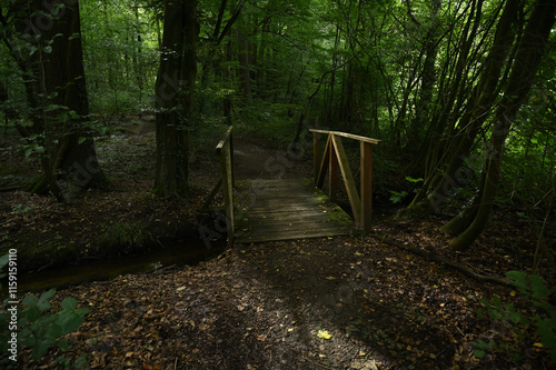 Holzbrücke 24