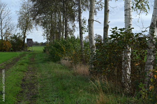 Moorhochsitz 24