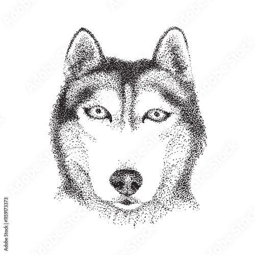 Husky head in pointillism technique. Illustration with black dots and spots