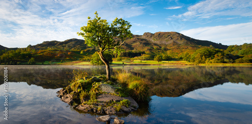 Tree in Lake photo