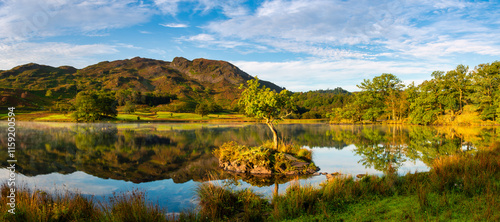 Tree in Lake photo