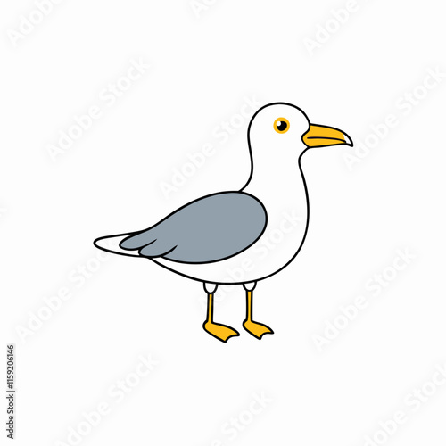 seagull on white