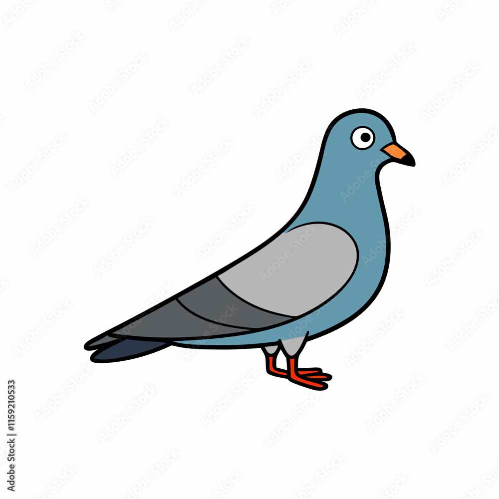 pigeon isolated on white pigeon isolated on white