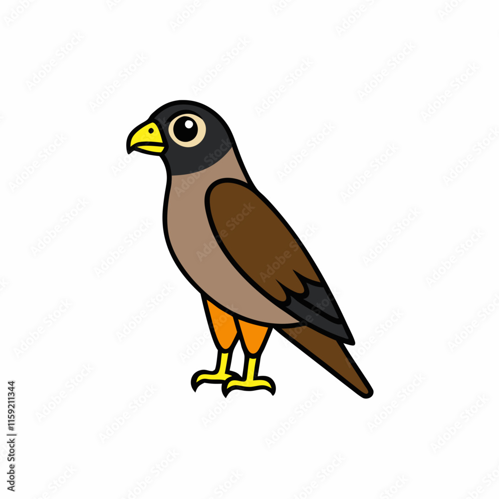 bird of prey bird of prey