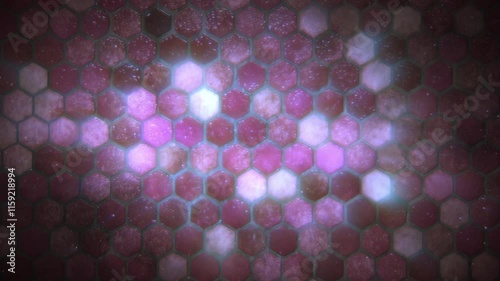 Abstract animated background: hexagon tiles.