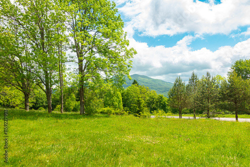 Fototapeta Naklejka Na Ścianę i Meble -  Bieszczady góra góry połoniny las drzewa dolina niebo chmury wiosna lato