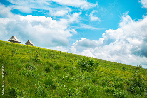 Bieszczady góra góry połoniny las drzewa dolina niebo chmury wiosna lato photo