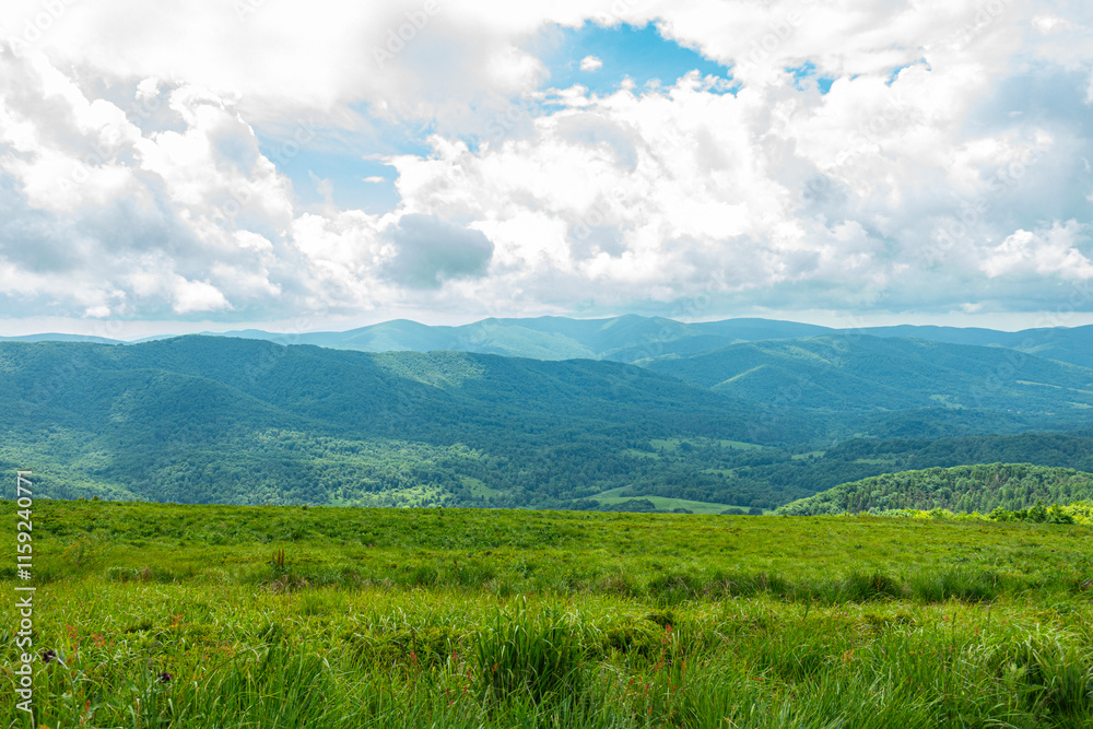 Bieszczady góra góry połoniny las drzewa dolina niebo chmury wiosna lato