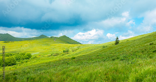 Bieszczady góra góry połoniny las drzewa dolina niebo chmury wiosna lato