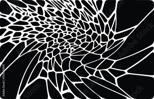 BLACK Abstract Voronoi 