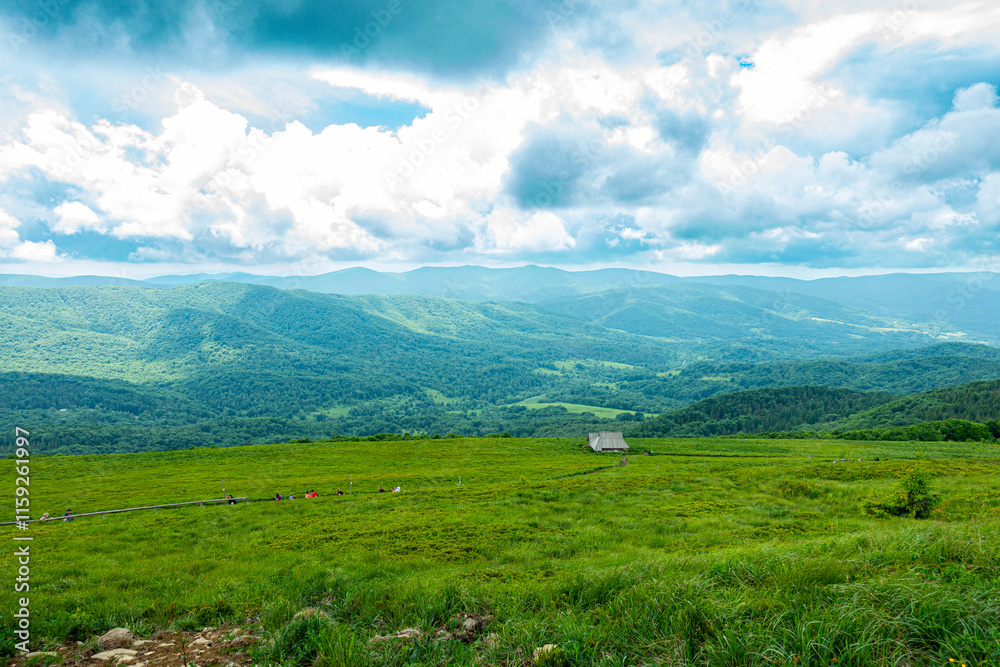 Bieszczady góra góry połoniny las drzewa dolina niebo chmury wiosna lato