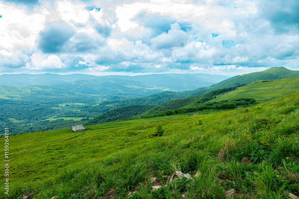 Bieszczady góra góry połoniny las drzewa dolina niebo chmury wiosna lato
