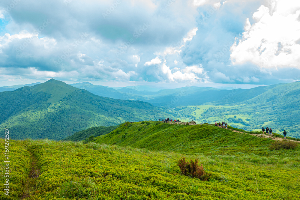 Bieszczady góra góry połoniny las drzewa dolina niebo chmury wiosna lato