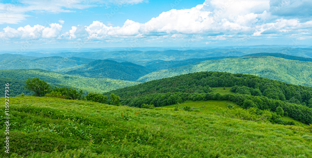 Bieszczady góra góry połoniny las drzewa dolina niebo chmury wiosna lato