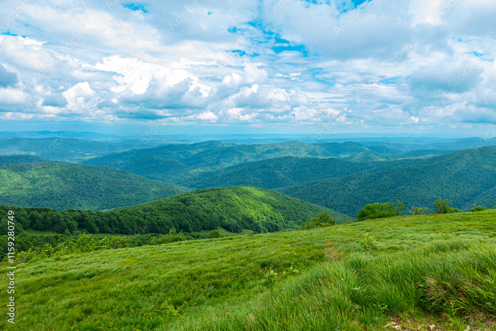 Bieszczady góra góry połoniny las drzewa dolina niebo chmury wiosna lato