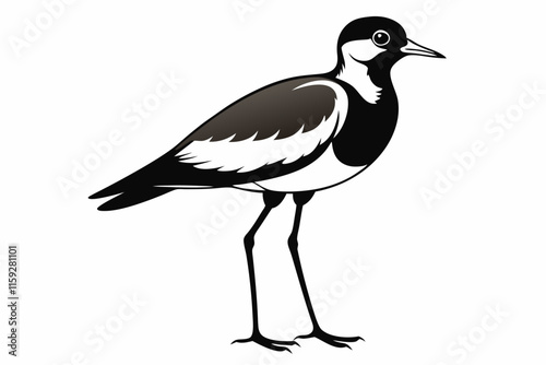 Lapwing Bird Silhouette Art Design. A lapwing bird is eating its food vector illustration line art
