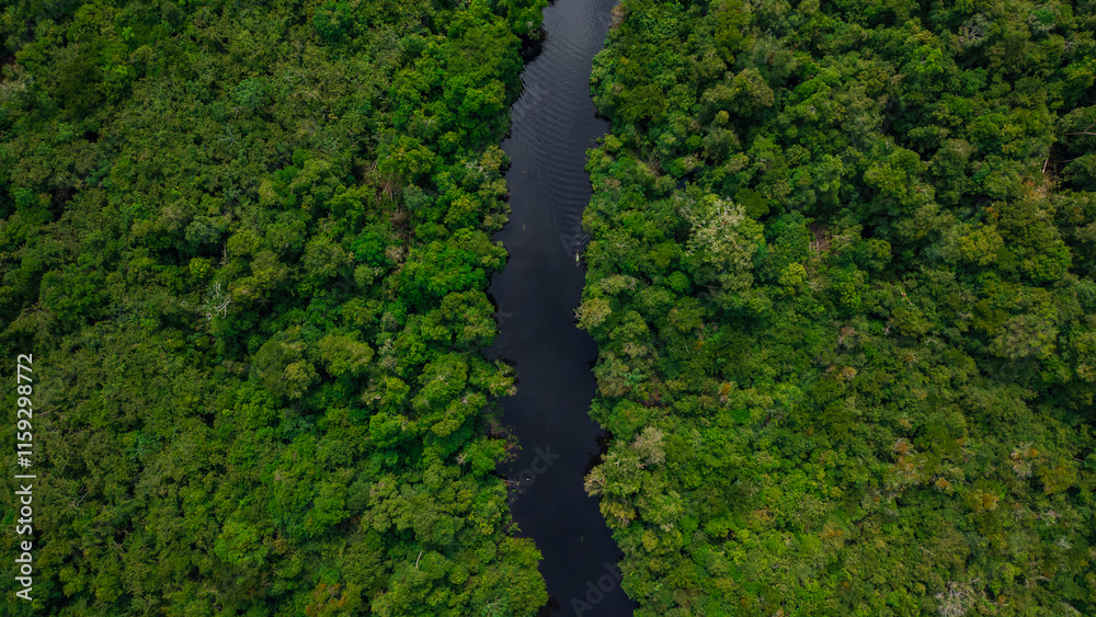 Fototapeta premium AERIAL PHOTOS OF THE NANAY RIVER AND BOATS NAVIGATING IN ITS WATERS, IN THE PERUVIAN AMAZON JUNGLE, BLACK WATER IGAPO WITH COMMUNITIES OF PEOPLE SURROUNDING THE NANAY.