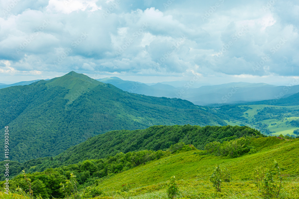 Bieszczady góra góry połoniny las drzewa dolina niebo chmury wiosna lato