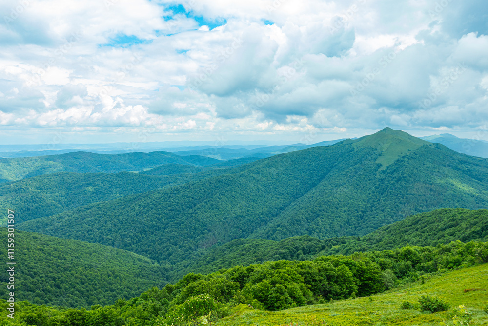 Bieszczady góra góry połoniny las drzewa dolina niebo chmury wiosna lato