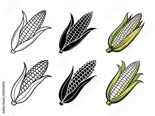 set of corn cobs