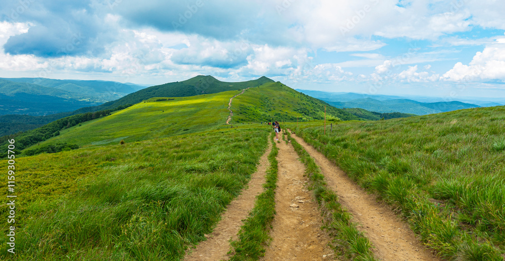 Bieszczady góra góry połoniny las drzewa dolina niebo chmury wiosna lato