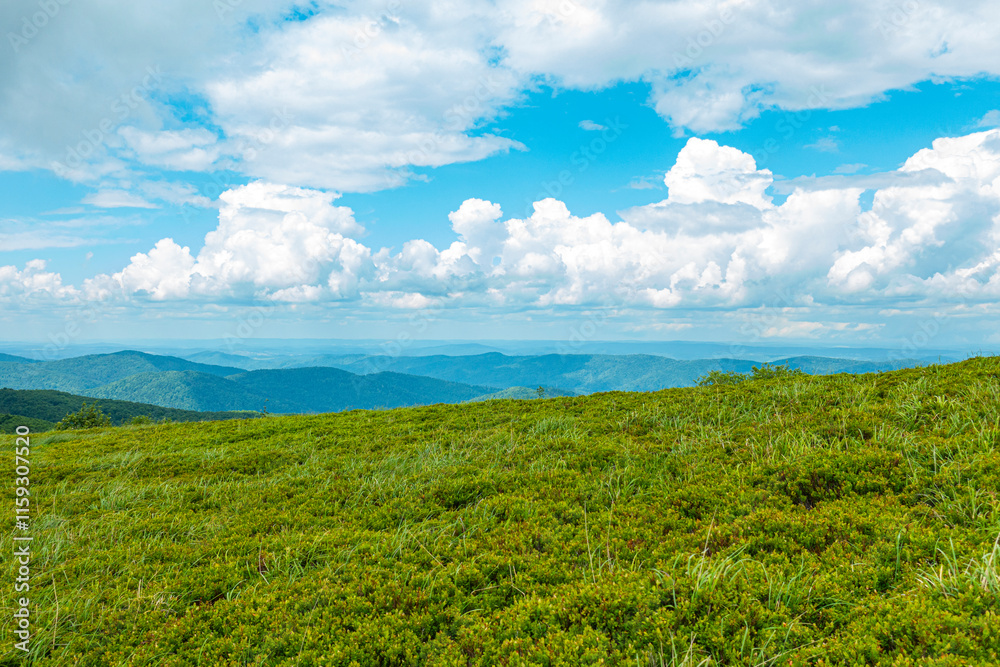 Bieszczady góra góry połoniny las drzewa dolina niebo chmury wiosna lato