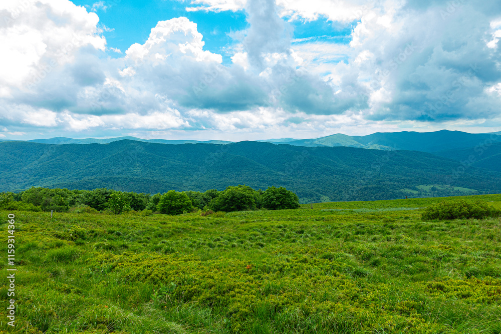 Bieszczady góra góry połoniny las drzewa dolina niebo chmury wiosna lato
