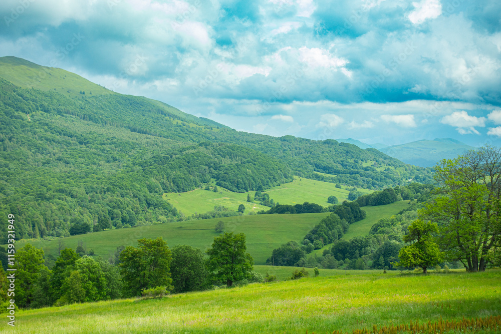 Bieszczady góra góry połoniny las drzewa dolina niebo chmury wiosna lato