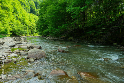 Bieszczady rzeka kamienie góry las drzewa dolina wiosna lato photo