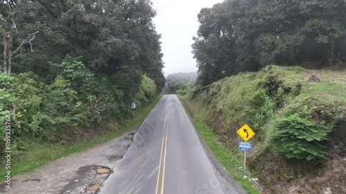 Wallpaper Mural Empty road of Cerro de la Muerte Road in Costa Rica Torontodigital.ca