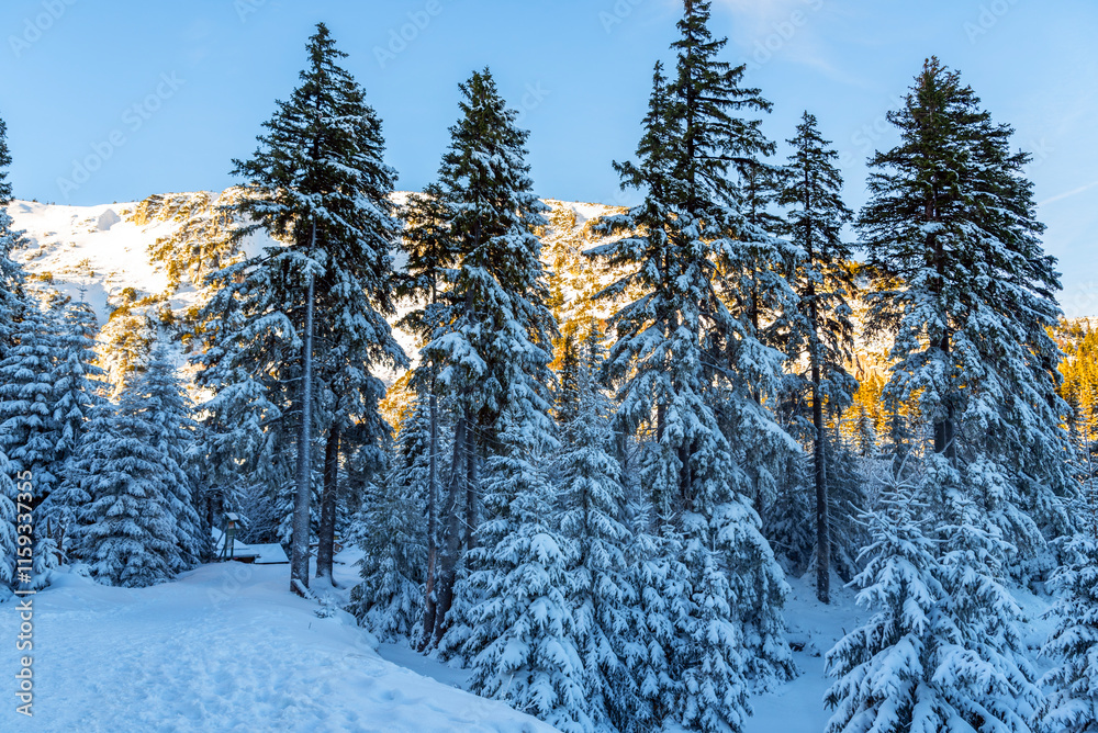 Obraz premium Zima w górach