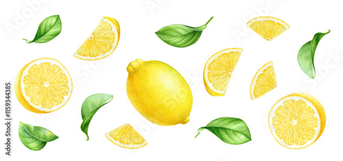 Foto Decorative design with watercolor hand drawn lemons, lemon fruit parts, slices a