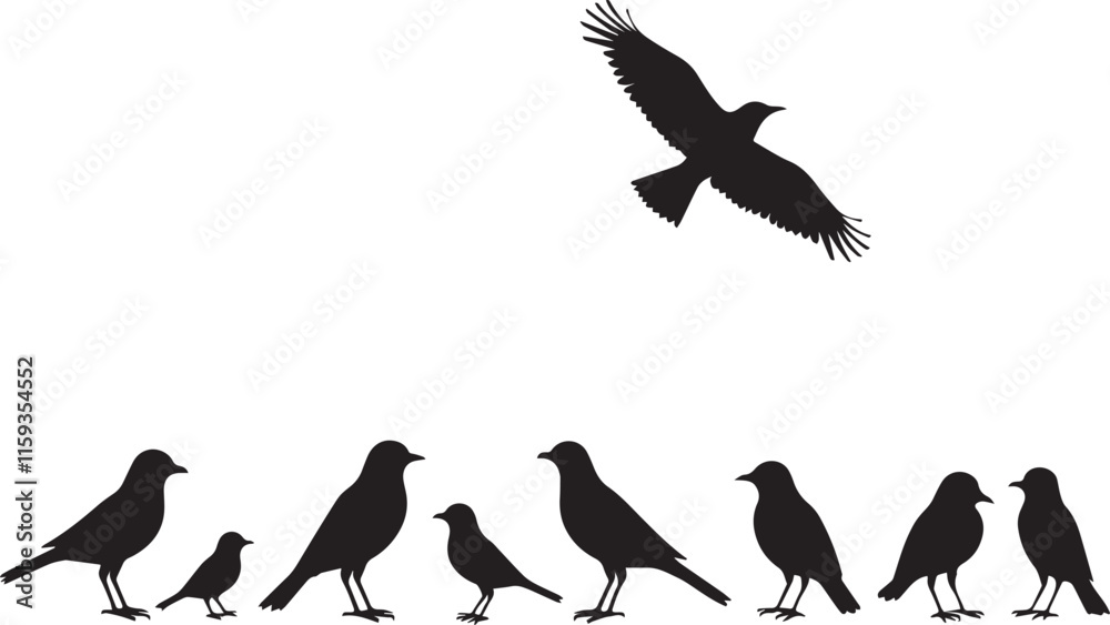 Fototapeta premium Vector silhouette of Birds