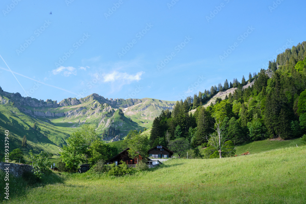 Scenic view of lush green mountains in Switzerland with charming houses in Brienz. Tall evergreens and vibrant foliage enhance this idyllic alpine landscape. Scenic view of lush green mountains in Switzerland with charming houses in Brienz. Tall evergreens and vibrant foliage enhance this idyllic alpine landscape.