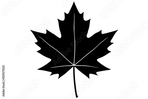 Maple Leaf Silhouette Vector Art Illustration on White Background